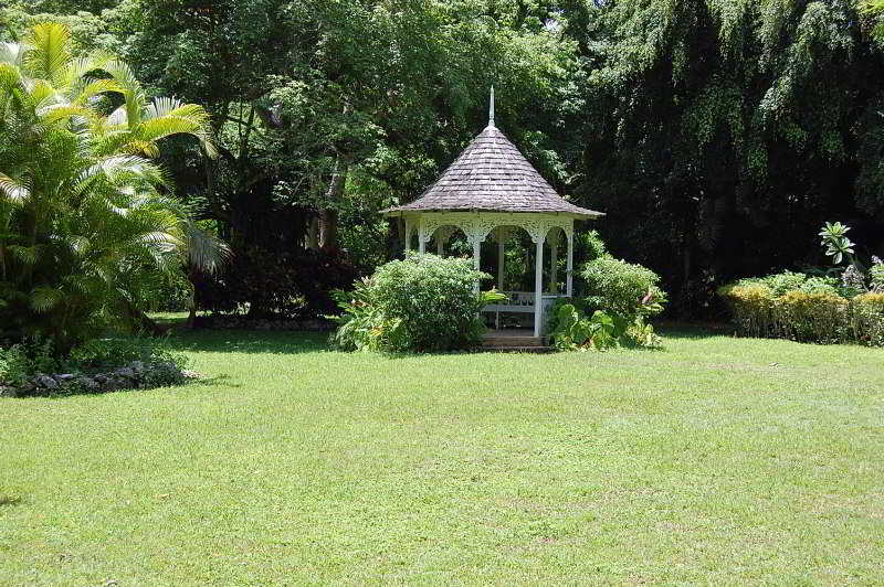 Inn At Shaw Park Gardens & Waterfalls Очо Риос Екстериор снимка