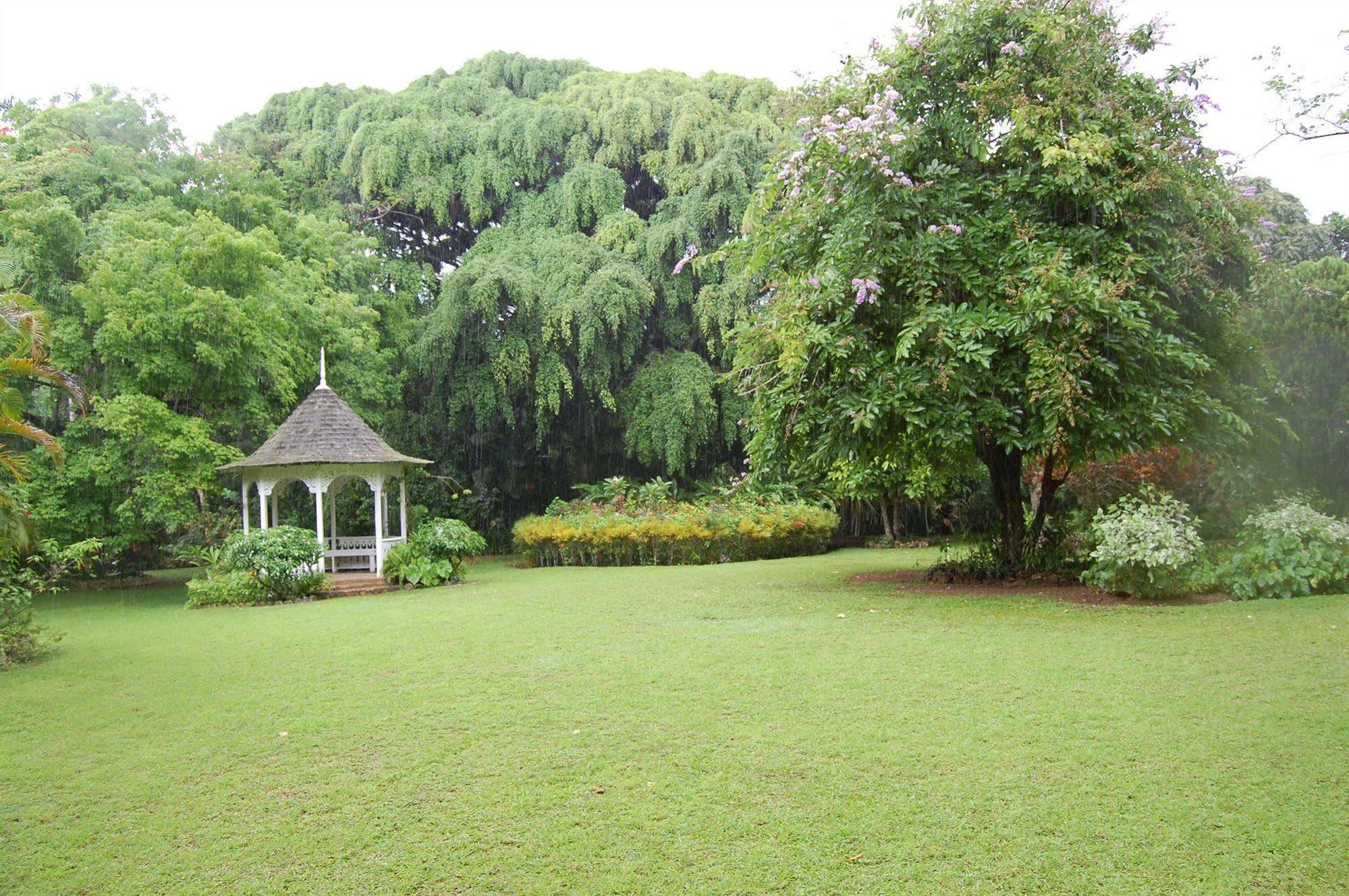 Inn At Shaw Park Gardens & Waterfalls Очо Риос Екстериор снимка